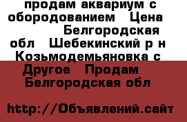 продам аквариум с обородованием › Цена ­ 30 000 - Белгородская обл., Шебекинский р-н, Козьмодемьяновка с. Другое » Продам   . Белгородская обл.